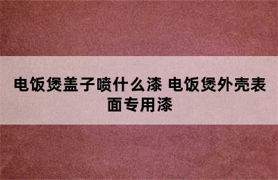 电饭煲盖子喷什么漆 电饭煲外壳表面专用漆